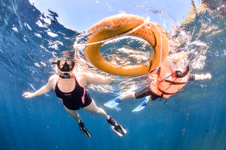 a0368-dykning2bsnorkling