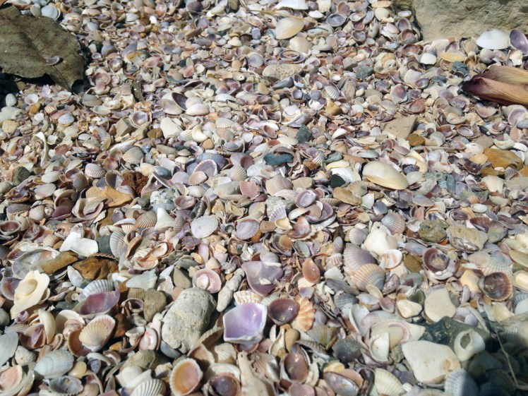 koh-poda-thailand-jan-2016_7