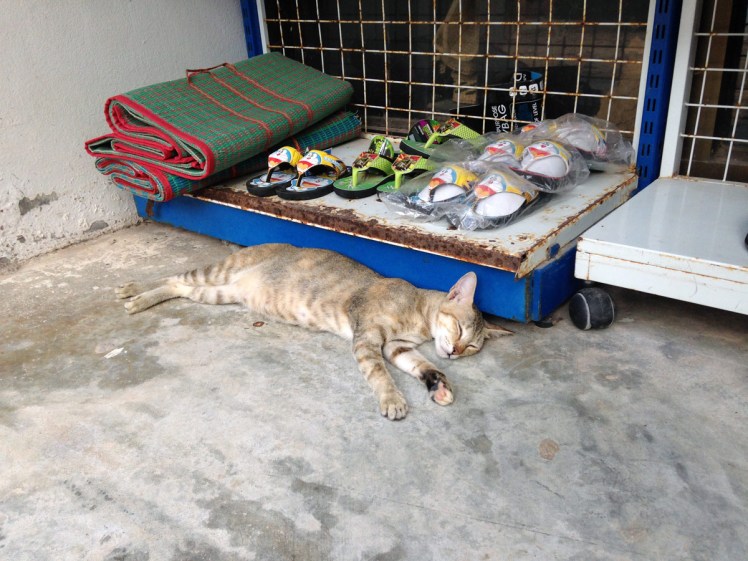 railey-beach-thailand-jan-2016_29314423142_o