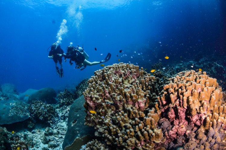 Thailand2016-dykning-KohHaa3