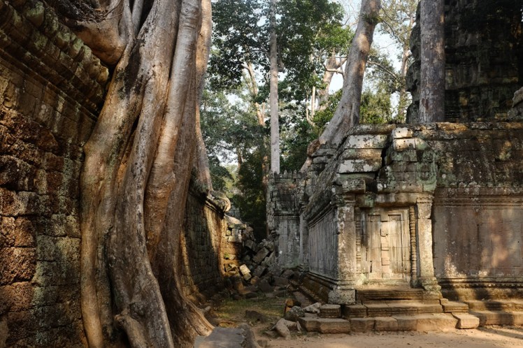 angkor-taprohm1