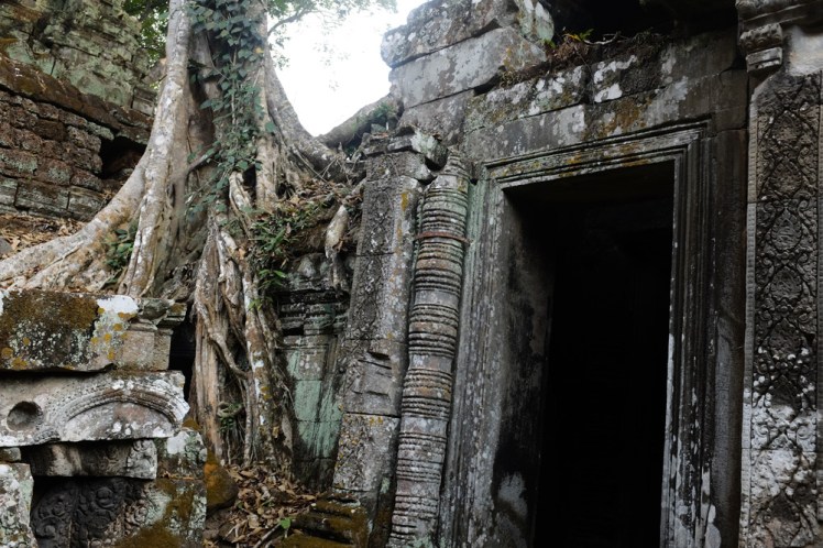 angkor-taprohm3