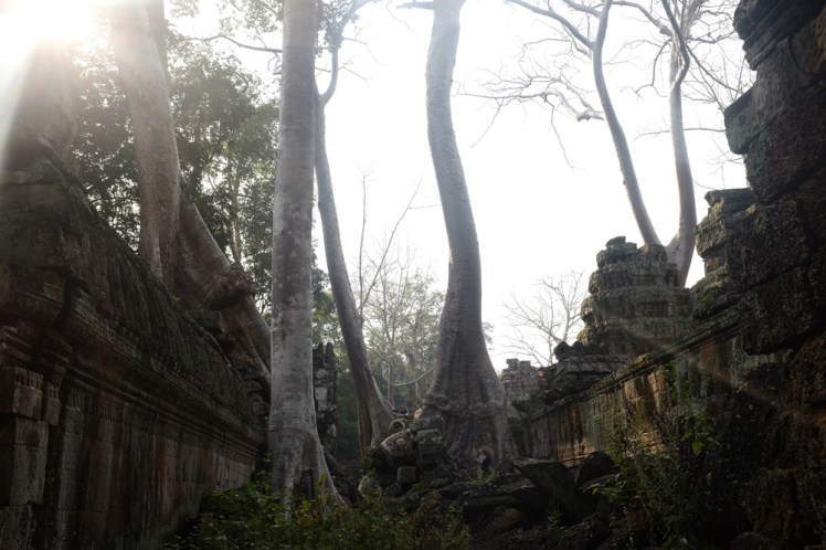 angkor-taprohm4
