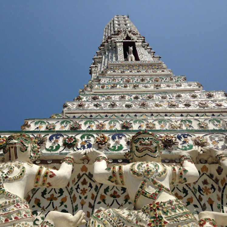 watarun6