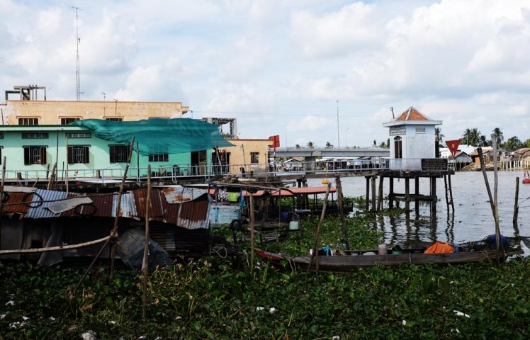 mekong-cykeltur-frukt3