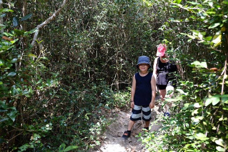 whale-island-djungeltur1