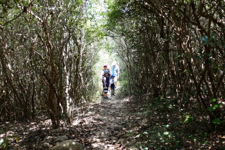 whale-island-djungeltur2