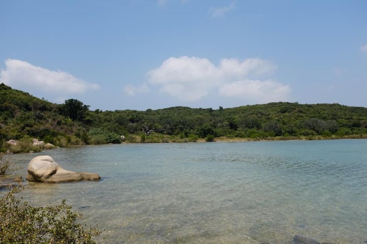 whale-island-djungeltur7