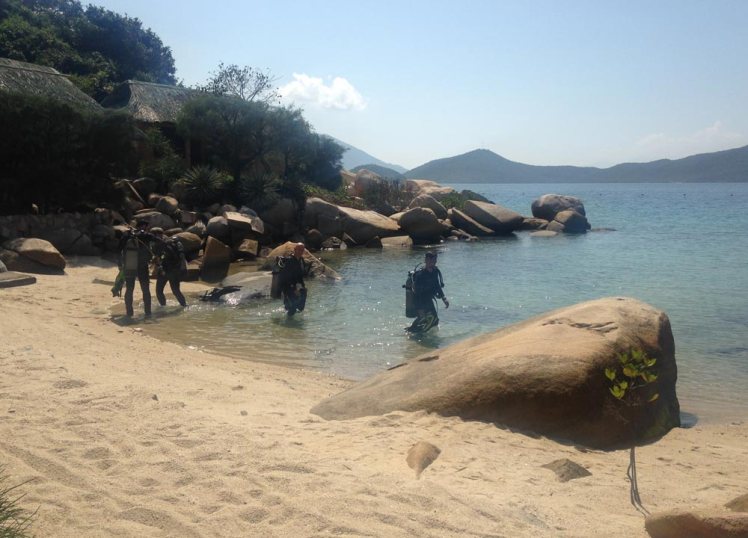 whale-island-dykning4