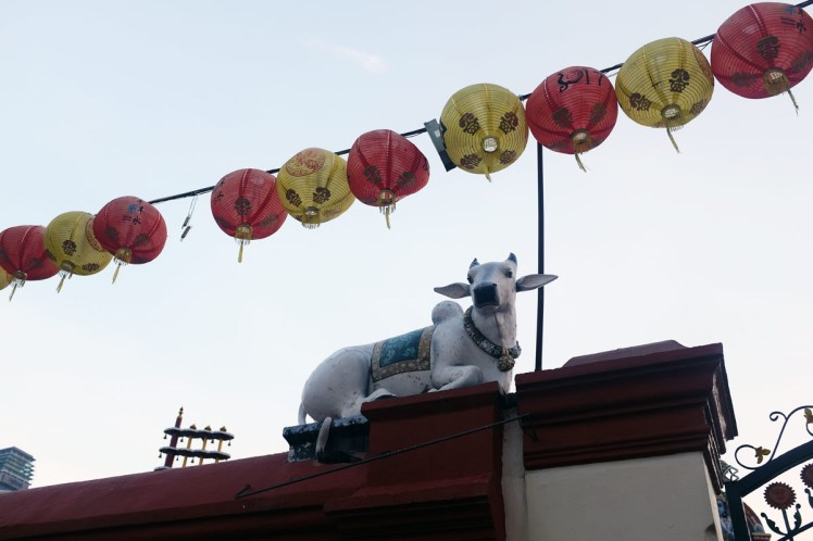 Singapore_Chinatown-6