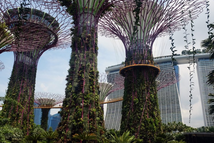 Singapore_Gardens-trad-5