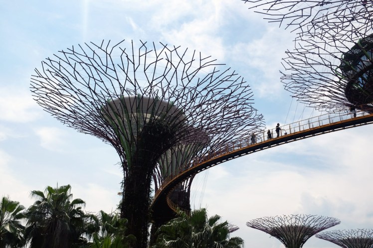 Singapore_Gardens-trad-6