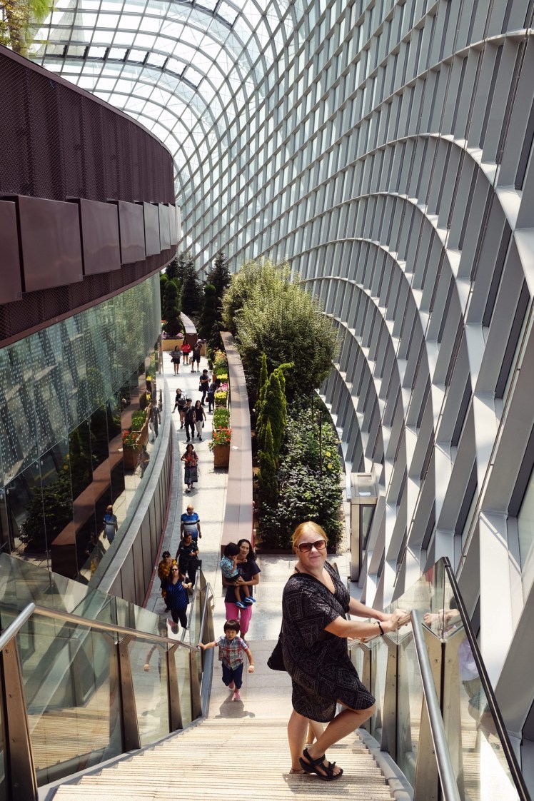 Singapore_Gardens_blomsterustallning-1