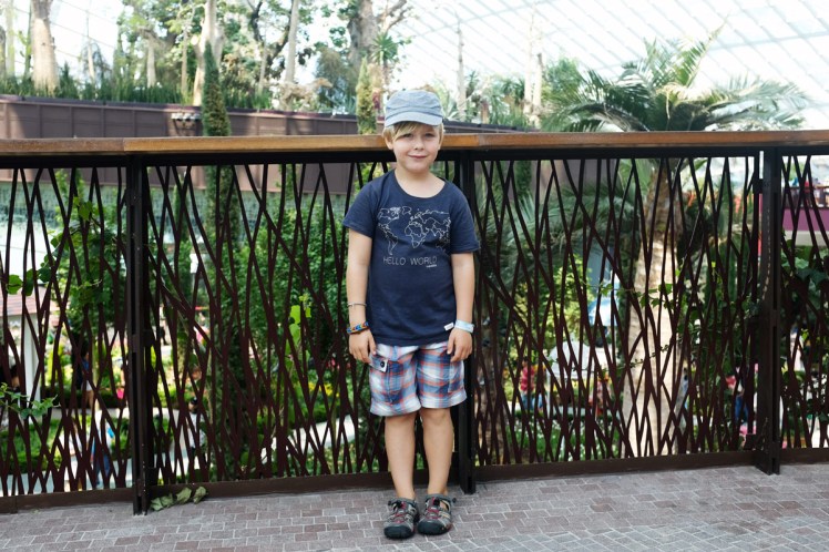 Singapore_Gardens_blomsterustallning-3