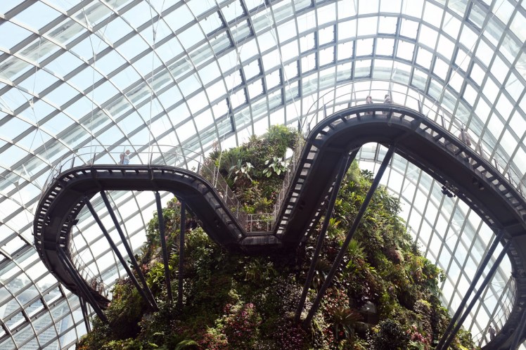 Singapore_Gardens_cloudforrest-1