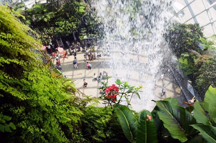 Singapore_Gardens_cloudforrest-2