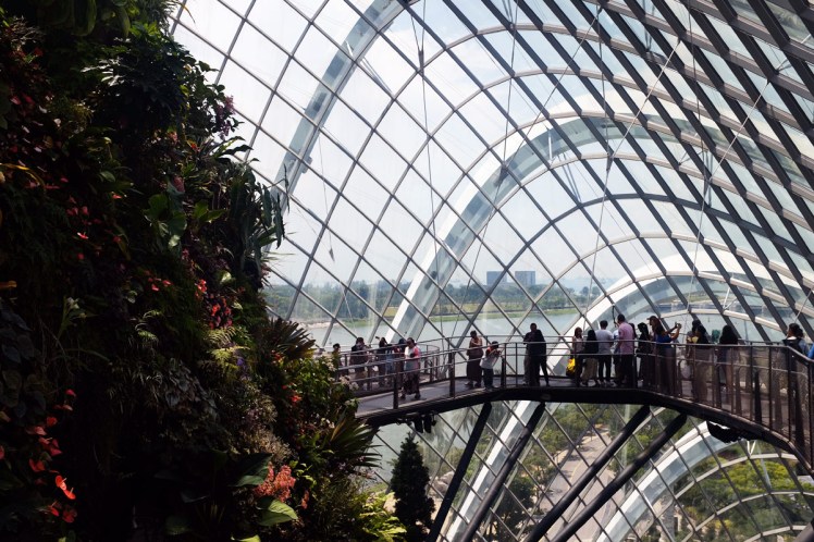 Singapore_Gardens_cloudforrest-3