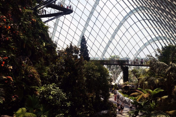 Singapore_Gardens_cloudforrest-4