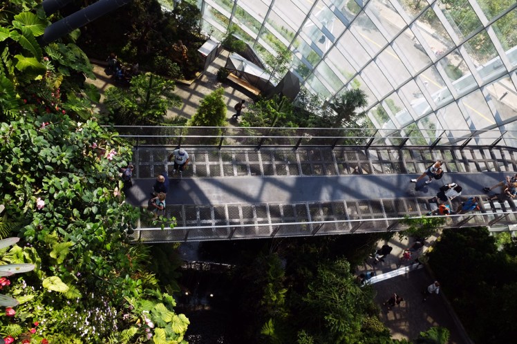 Singapore_Gardens_cloudforrest-5