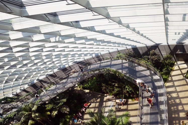 Singapore_Gardens_cloudforrest-6