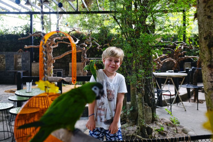 HCMC-fagel-cafe-PetMe-5