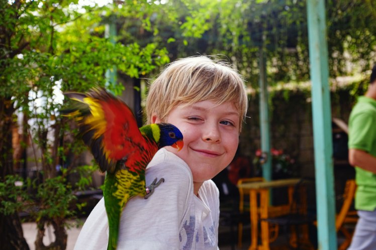 HCMC-fagel-cafe-PetMe-6