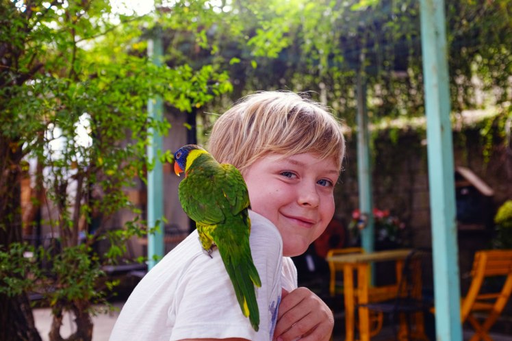 HCMC-fagel-cafe-PetMe-7