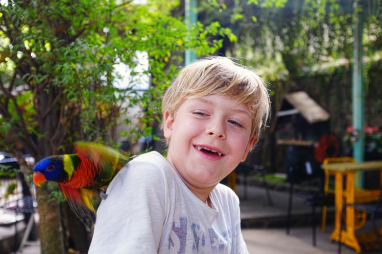 HCMC-fagel-cafe-PetMe-8