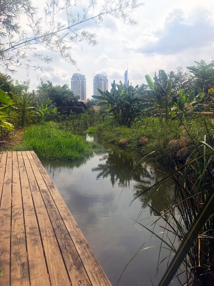 HCMC-ThaoDien-Familygarden10