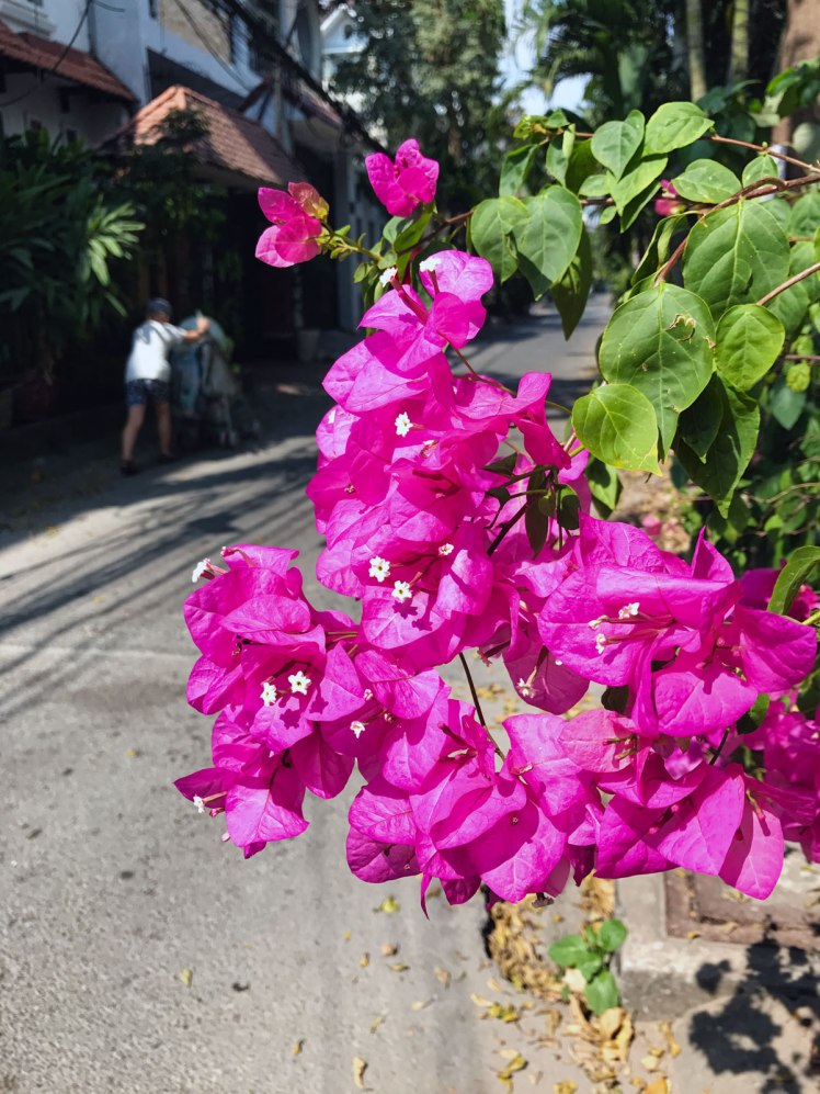 HCMC2018_ThaoDien-grand3
