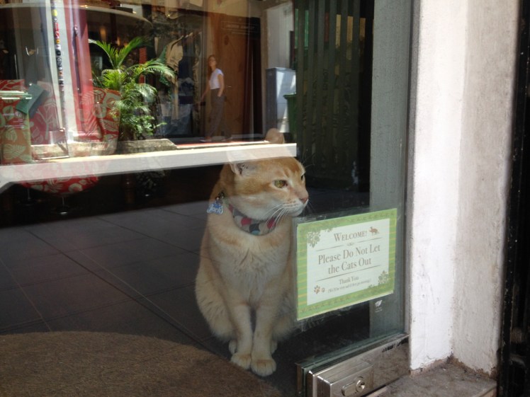 singapore-arabstreet2