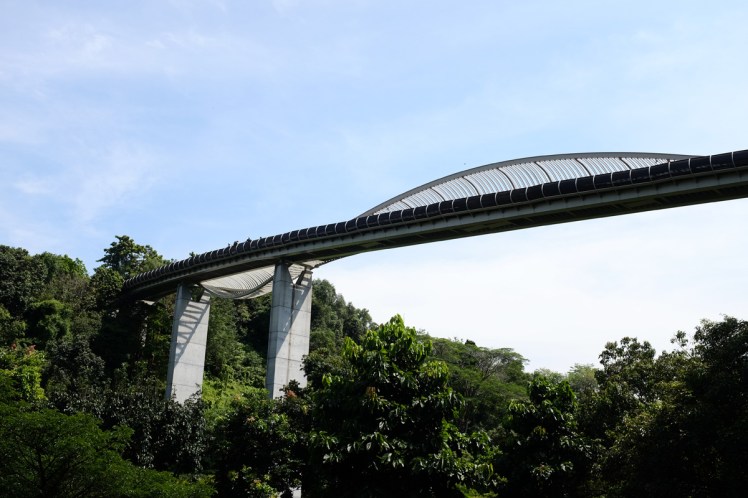 Singpore-Hendersen-bridge1