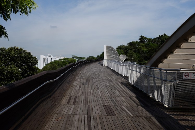 Singpore-Hendersen-bridge6