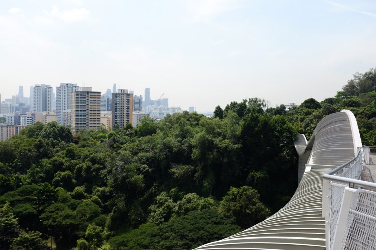 Singpore-Hendersen-bridge8