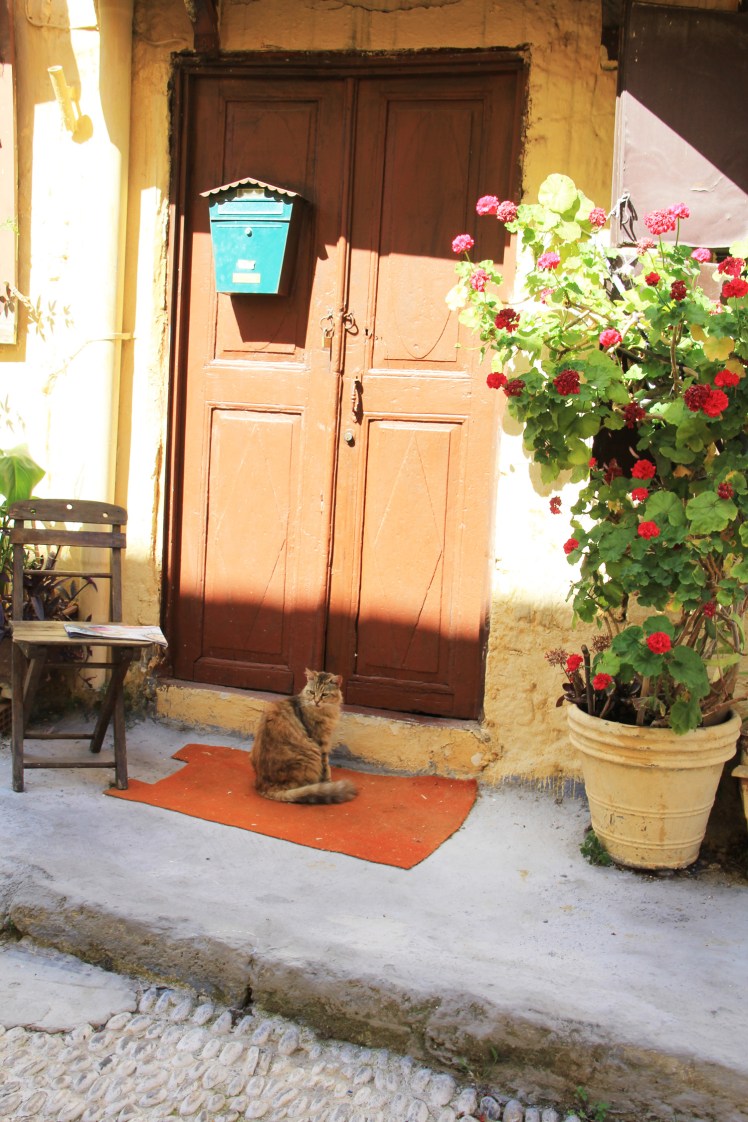 Rhodos-stad-grander3