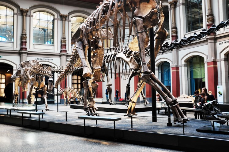 Berlin-Naturkunde-museum-dinosaurie-red