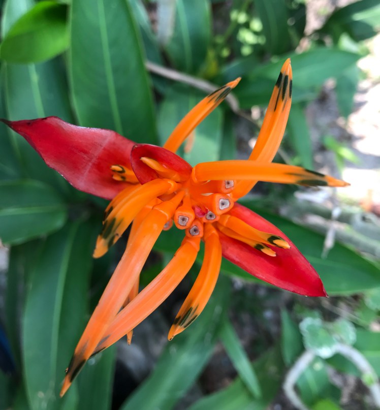 phuquoc2018-cualap-hotel3