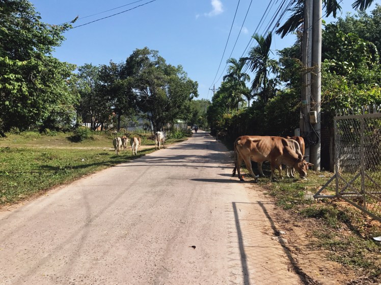 PhuQuoc2018-OngLang3