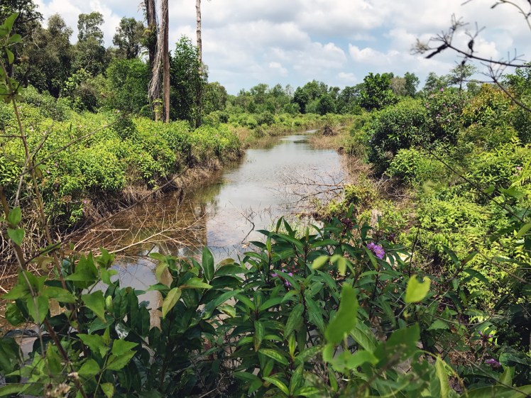 PhuQuoc2018-OngLangBeach16