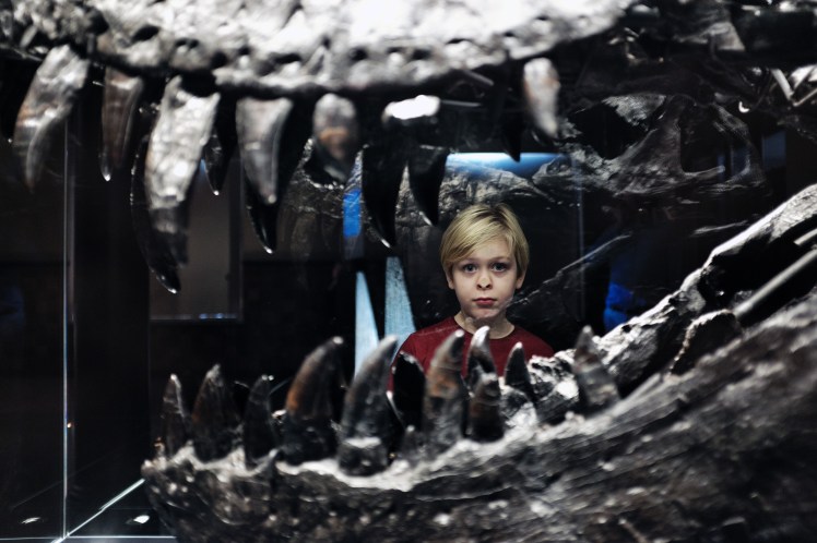 Berlin-Naturkunde-museum-dinosaurie-4