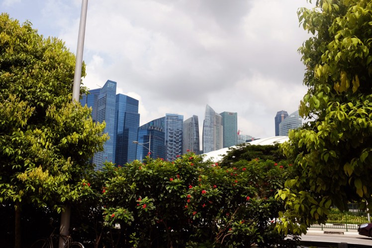 Singapore-stadsvy-1