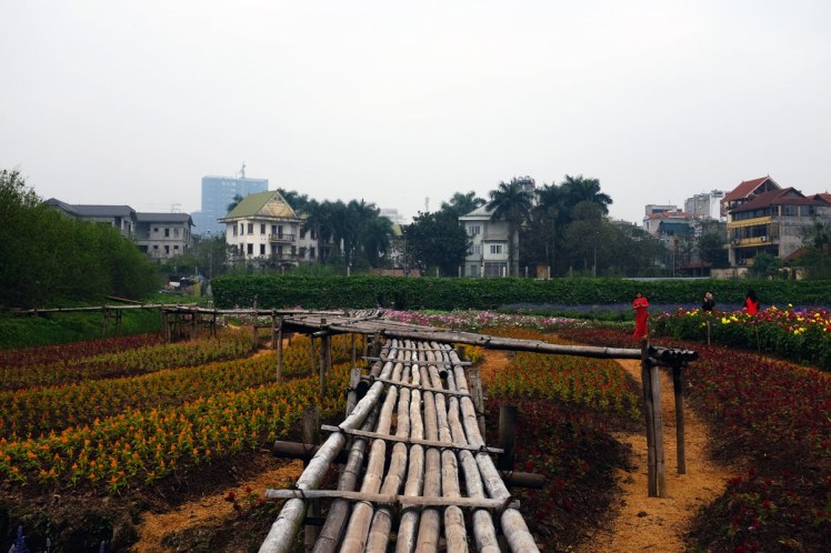 Hanoi-blomsterpark-14