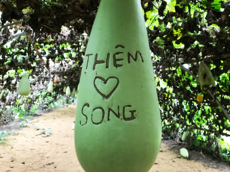 Hanoi-blomsterpark-20