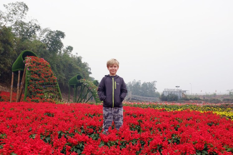 Hanoi-blomsterpark-6