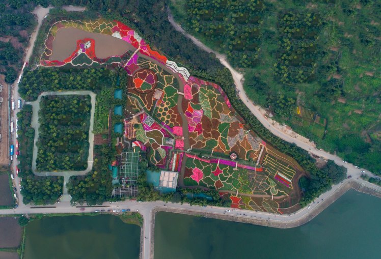 Hanoi-blomstertradgard-fb