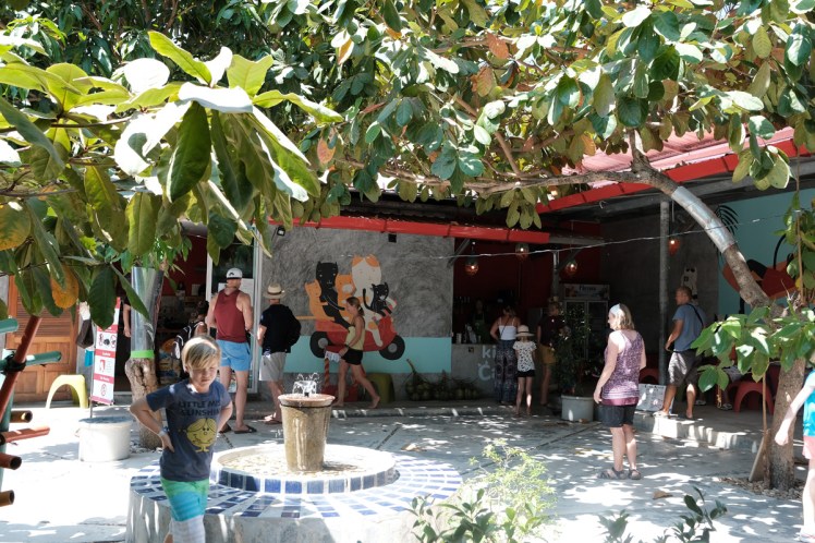 KohLanta2019-Animalwelfare1