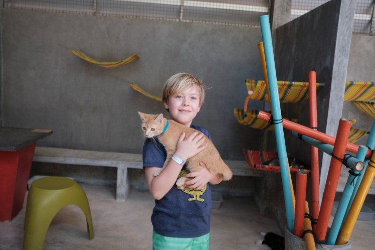 KohLanta2019-Animalwelfare5