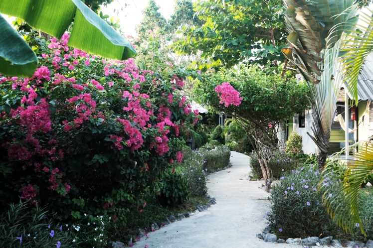 Timeforlime-bungalow11-tradgard